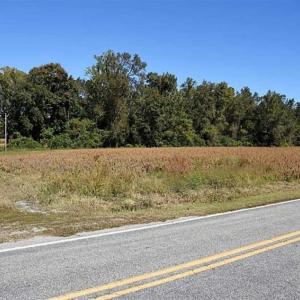 Photo of SOLD!!  36 Acres of Farm and Timber Land For Sale in Edgecombe County NC!