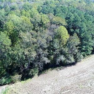 Photo of SOLD!!  36 Acres of Farm and Timber Land For Sale in Edgecombe County NC!