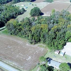 Photo of SOLD!!  36 Acres of Farm and Timber Land For Sale in Edgecombe County NC!