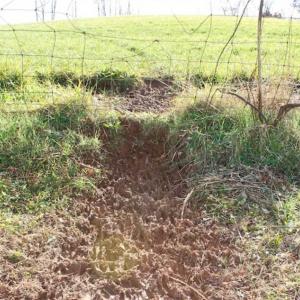 Photo of SOLD!!  28.53 Ac of Residential and Recreational Land in Powhatan County VA!