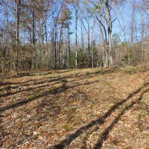 Photo of SOLD!!  28.53 Ac of Residential and Recreational Land in Powhatan County VA!