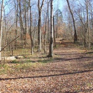Photo of SOLD!!  28.53 Ac of Residential and Recreational Land in Powhatan County VA!