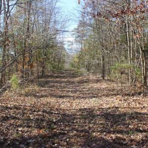 Photo of SOLD!!  28.53 Ac of Residential and Recreational Land in Powhatan County VA!