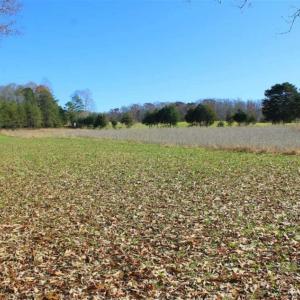Photo of SOLD!!  28.53 Ac of Residential and Recreational Land in Powhatan County VA!