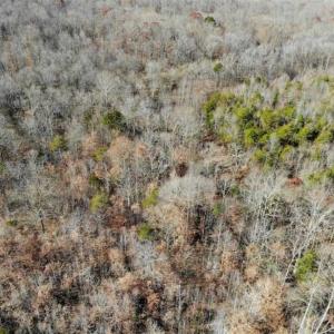 Photo of SOLD!!  28.53 Ac of Residential and Recreational Land in Powhatan County VA!