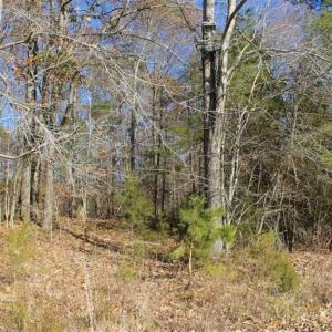 Photo of SOLD!!  28.53 Ac of Residential and Recreational Land in Powhatan County VA!