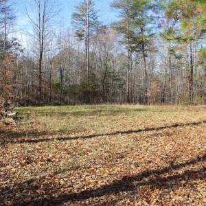 Photo of SOLD!!  28.53 Ac of Residential and Recreational Land in Powhatan County VA!