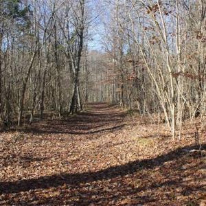 Photo of SOLD!!  28.53 Ac of Residential and Recreational Land in Powhatan County VA!