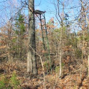 Photo of SOLD!!  28.53 Ac of Residential and Recreational Land in Powhatan County VA!