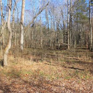 Photo of SOLD!!  28.53 Ac of Residential and Recreational Land in Powhatan County VA!
