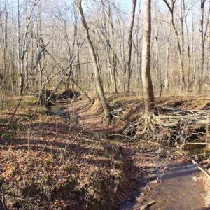 Photo of SOLD!!  28.53 Ac of Residential and Recreational Land in Powhatan County VA!