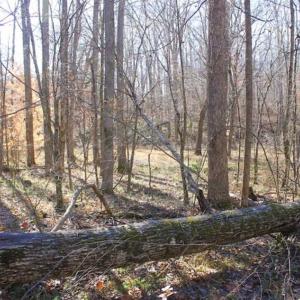 Photo of SOLD!!  28.53 Ac of Residential and Recreational Land in Powhatan County VA!