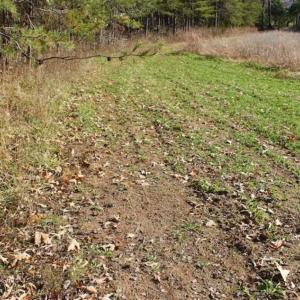 Photo of SOLD!!  28.53 Ac of Residential and Recreational Land in Powhatan County VA!