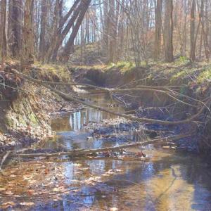 Photo of SOLD!!  28.53 Ac of Residential and Recreational Land in Powhatan County VA!