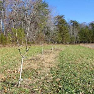 Photo of SOLD!!  28.53 Ac of Residential and Recreational Land in Powhatan County VA!