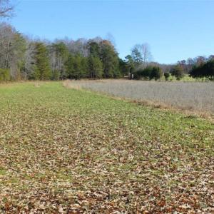 Photo of SOLD!!  28.53 Ac of Residential and Recreational Land in Powhatan County VA!