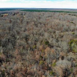 Photo of SOLD!!  28.53 Ac of Residential and Recreational Land in Powhatan County VA!