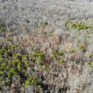 Photo of SOLD!!  28.53 Ac of Residential and Recreational Land in Powhatan County VA!