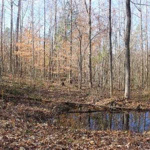 Photo of SOLD!!  28.53 Ac of Residential and Recreational Land in Powhatan County VA!