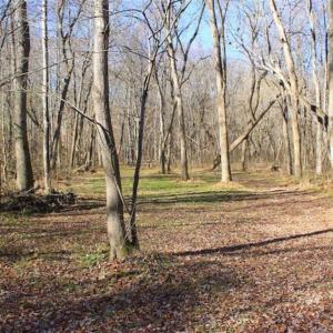 Photo of SOLD!!  28.53 Ac of Residential and Recreational Land in Powhatan County VA!