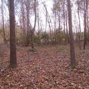 Photo of SOLD!!  3 Acre Residential Building Site For Sale in Suffolk VA!
