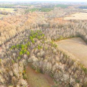 Photo of SOLD!!  3 Acre Residential Building Site For Sale in Suffolk VA!
