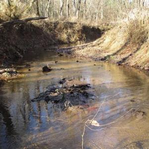 Photo of SOLD!!  63 Acres of Timber and Hunting Land For Sale in Caroline County VA!