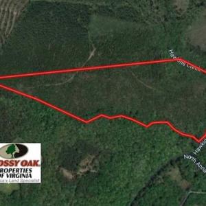 Photo of SOLD!!  63 Acres of Timber and Hunting Land For Sale in Caroline County VA!