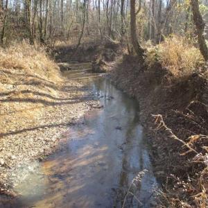 Photo of SOLD!!  63 Acres of Timber and Hunting Land For Sale in Caroline County VA!