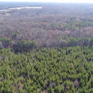 Photo of SOLD!!  63 Acres of Timber and Hunting Land For Sale in Caroline County VA!