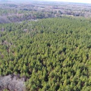Photo of SOLD!!  63 Acres of Timber and Hunting Land For Sale in Caroline County VA!