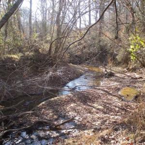 Photo of SOLD!!  63 Acres of Timber and Hunting Land For Sale in Caroline County VA!