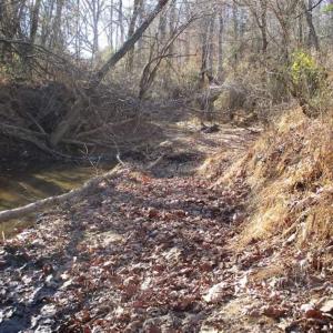Photo of SOLD!!  63 Acres of Timber and Hunting Land For Sale in Caroline County VA!