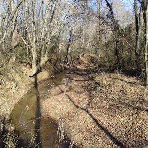 Photo of SOLD!!  63 Acres of Timber and Hunting Land For Sale in Caroline County VA!