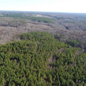 Photo of SOLD!!  63 Acres of Timber and Hunting Land For Sale in Caroline County VA!