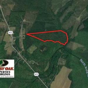 Photo of SOLD!!  63 Acres of Timber and Hunting Land For Sale in Caroline County VA!