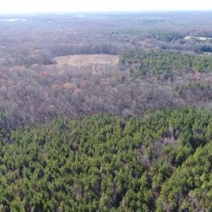 Photo of SOLD!!  63 Acres of Timber and Hunting Land For Sale in Caroline County VA!