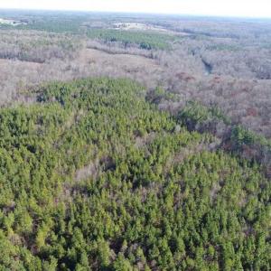 Photo of SOLD!!  63 Acres of Timber and Hunting Land For Sale in Caroline County VA!