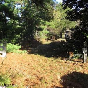 Photo of SOLD!!  63 Acres of Timber and Hunting Land For Sale in Caroline County VA!
