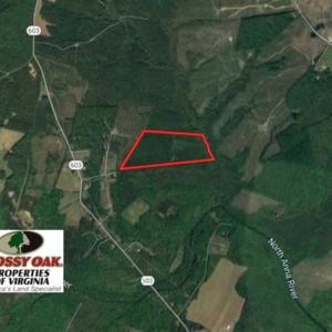 Photo of SOLD!!  63 Acres of Timber and Hunting Land For Sale in Caroline County VA!