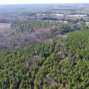 Photo of SOLD!!  63 Acres of Timber and Hunting Land For Sale in Caroline County VA!
