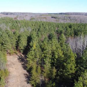 Photo of SOLD!!  63 Acres of Timber and Hunting Land For Sale in Caroline County VA!