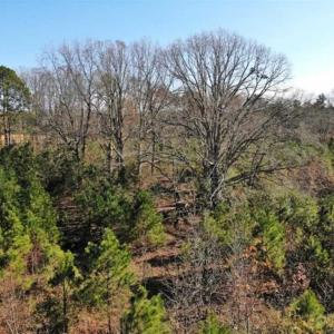 Photo of SOLD!  17 Acres of Hunting Land For Sale in Warren County NC!