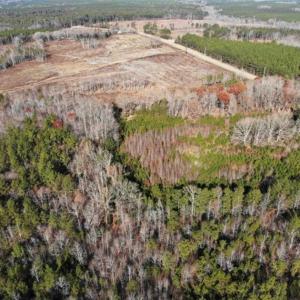 Photo of SOLD!  17 Acres of Hunting Land For Sale in Warren County NC!