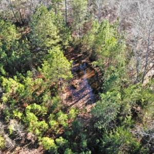 Photo of SOLD!  17 Acres of Hunting Land For Sale in Warren County NC!