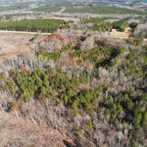 Photo of SOLD!  17 Acres of Hunting Land For Sale in Warren County NC!