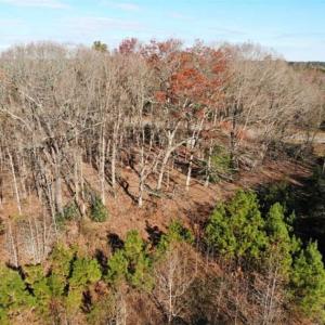 Photo of SOLD!  17 Acres of Hunting Land For Sale in Warren County NC!