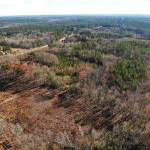Photo of SOLD!  17 Acres of Hunting Land For Sale in Warren County NC!