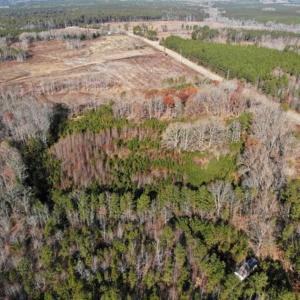 Photo of SOLD!  17 Acres of Hunting Land For Sale in Warren County NC!