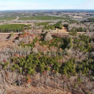 Photo of SOLD!  17 Acres of Hunting Land For Sale in Warren County NC!